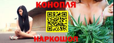 Альфа ПВП Пушкино